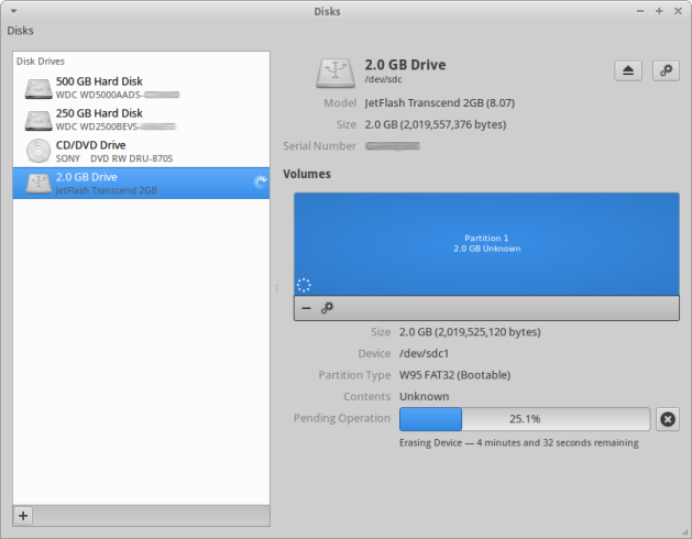 Disks formatting the drive